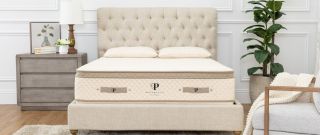 The PlushBeds Botanical Bliss mattress on a beige bed frame in a brightly lit room