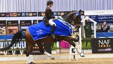Becky Moody and Jagerbomb win the Magic PSG at the Winter Dressage Championships 2022