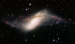 Ring Galaxy NGC 660