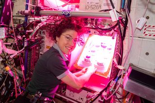 NASA astronaut Christina Koch began the Veg-PONDS-02 experiment in the International Space Station's Veggie system on April 25, 2019.