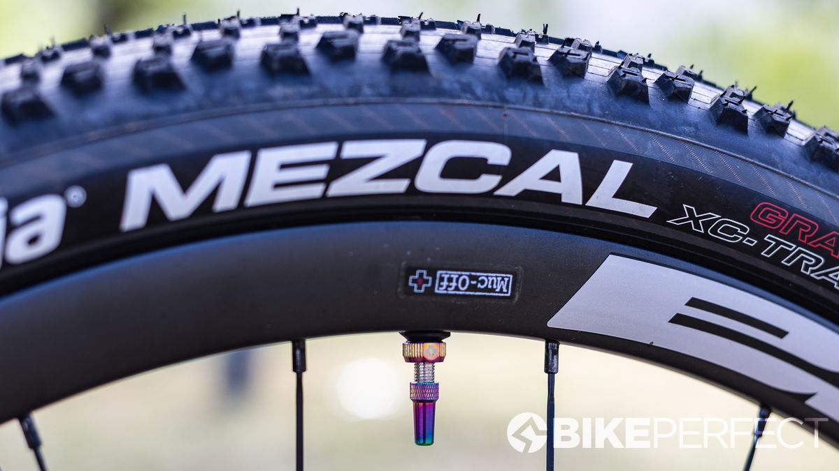 Lachlan Morton Cape Epic
