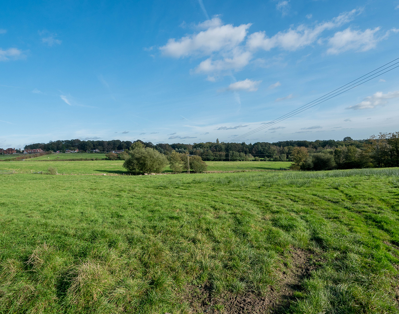 Little-Woodbine-Farm-Adverts-3.jpg