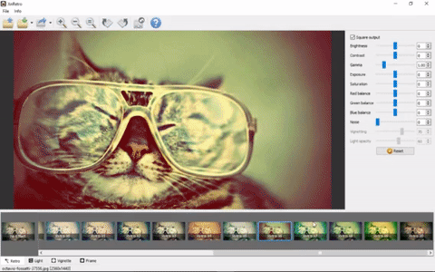 The preset filters are cool for cats, or you can make your own look with the adjustable sliders