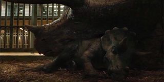 Triceratops and baby in Jurassic World: Fallen Kingdom