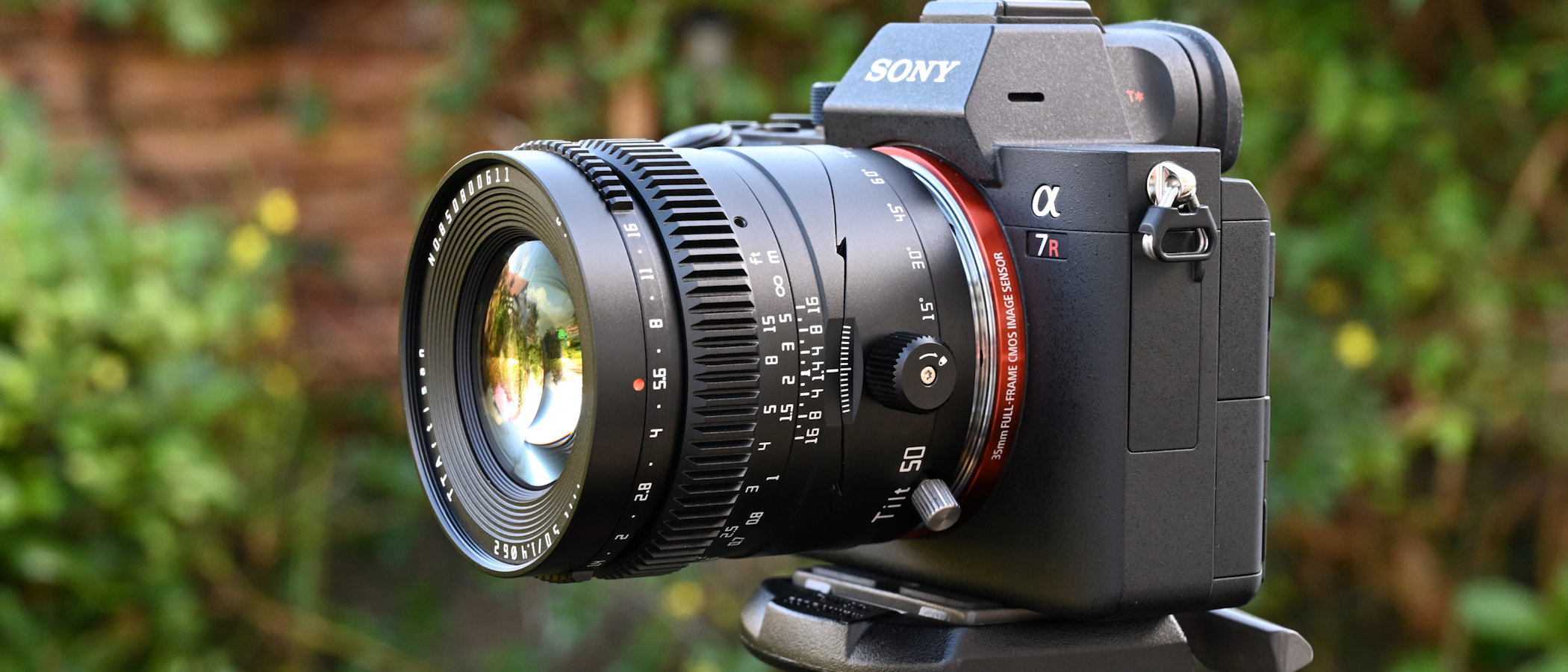 Review: TTArtisan 50mm 1.4 Tilt 