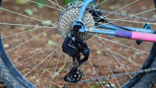 Wheeltop EDS-OX YQ electronic MTB derailleur fitted to a blue bike with a nine speed cassette