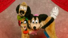 Daniel Gebhart De Koekkoek 2023 calendar dog portrait, dog groomed to look like Disney characters