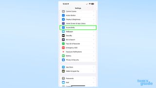 A screenshot showing the Accessibility menu