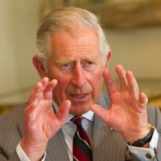 King Charles wears a gray suit and reads a book, performing with his hands