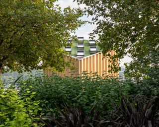 The exterior of the Cube by Velux is seen through the trees. A cube-shaped, wooden structure, with grass on the roof, and skyline windows.