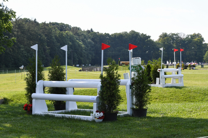 Fence 11ab