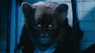 Hermione as a cat in Harry Potter and the Chamber of Secrets. 