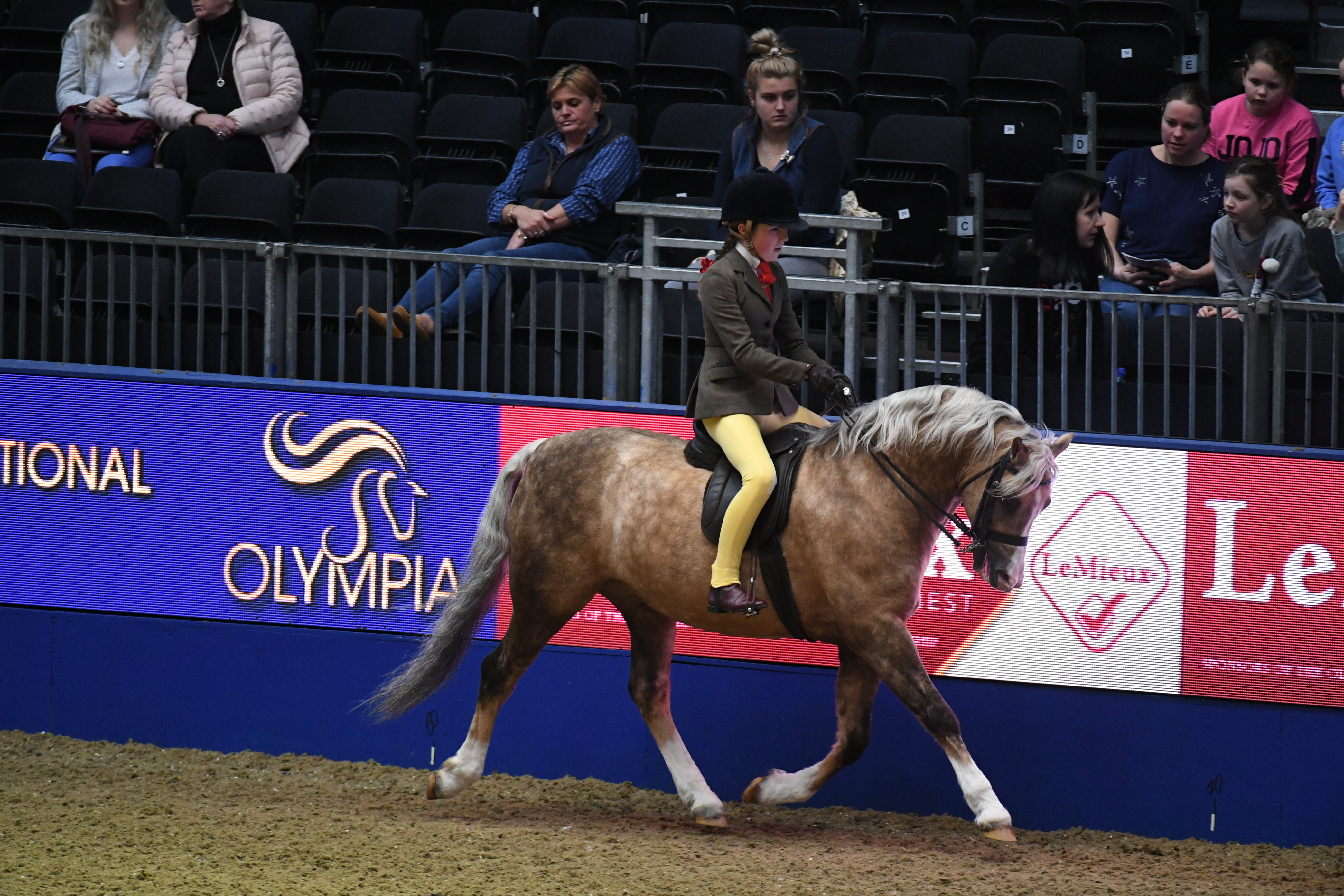 Cadlanvalley-Buzby_Olympia_PN18_218281_257453321_388630422.jpg