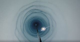 British Antarctic Survey camera travelling down the 900-meter-long bore hole in the Filchner-Ronne Ice Shelf. (Marine creature pictured is unrelated to the discovery)