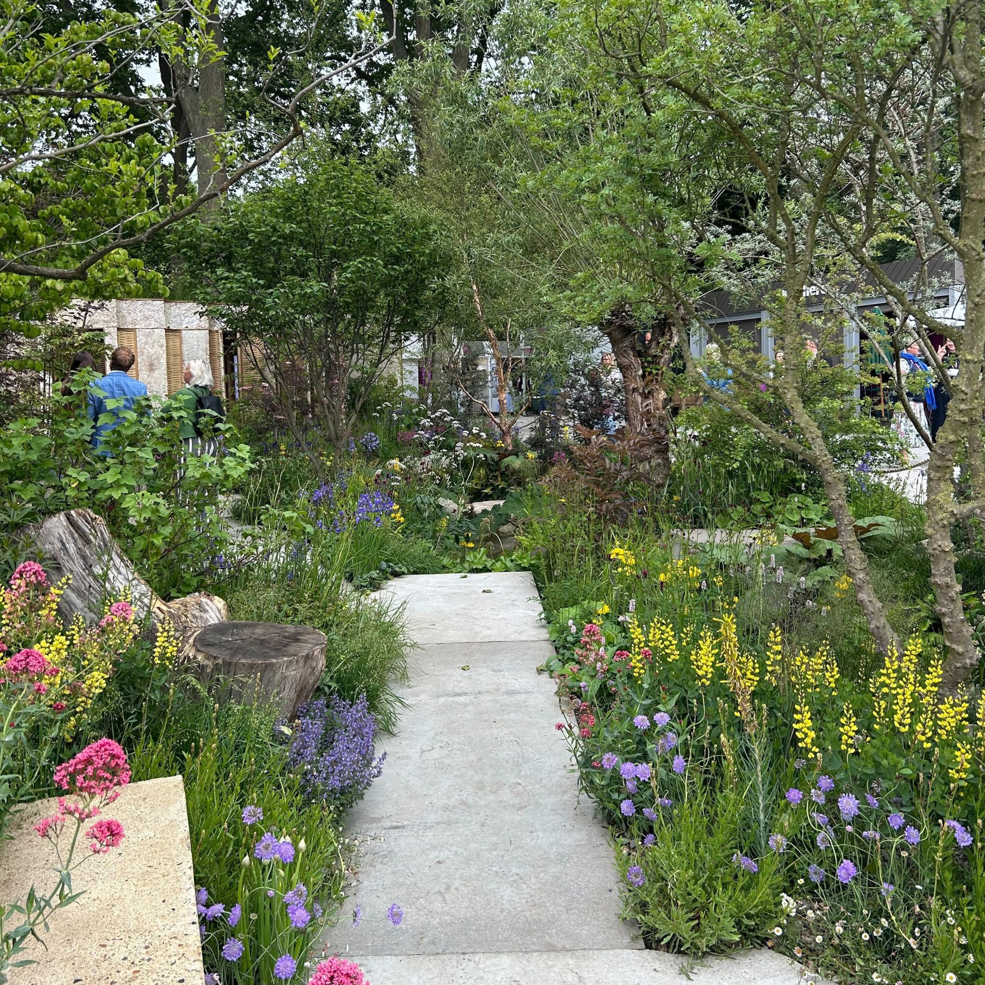 The Avanade Intelligent Garden at the RHS Chelsea Flower Show 2025