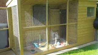 ideal rabbit accomodation