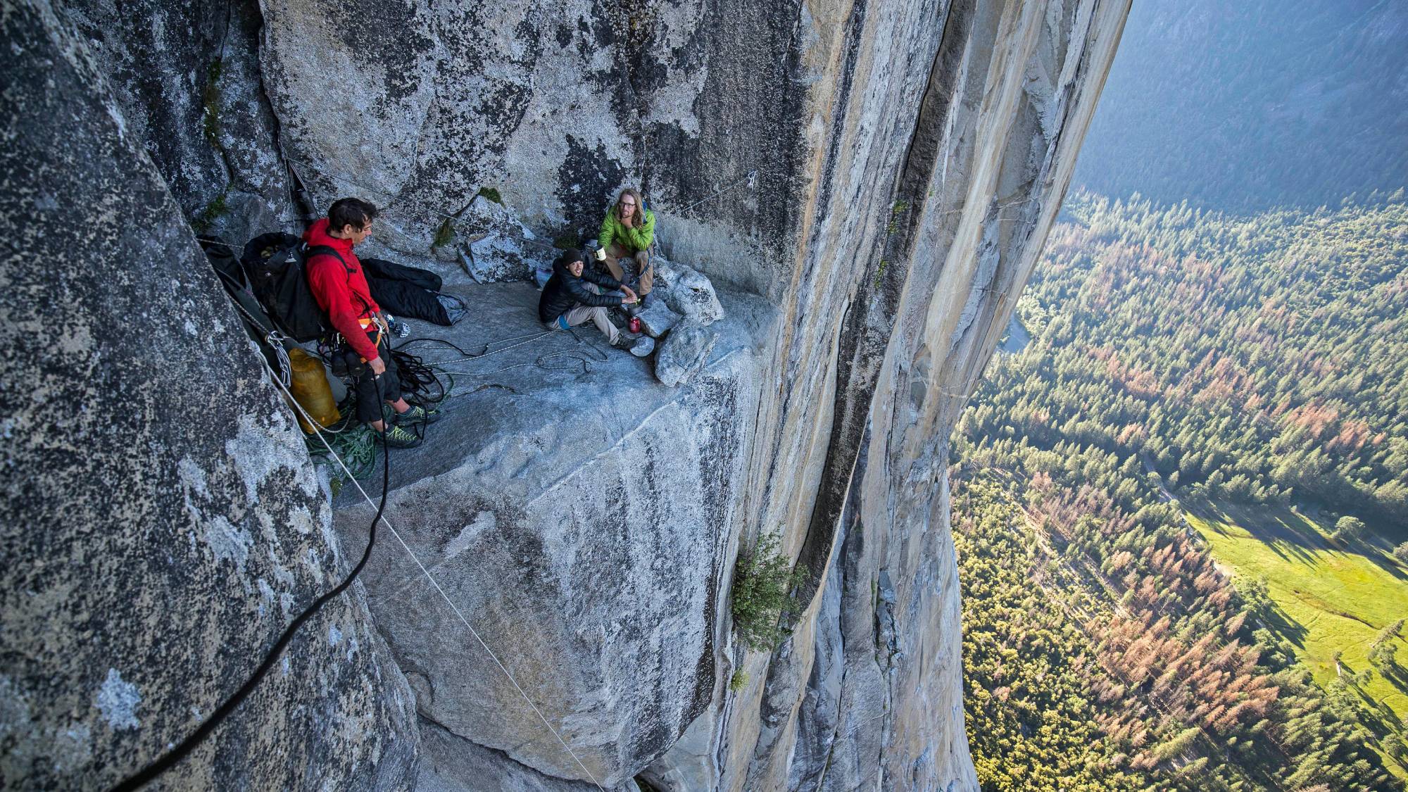 Alex Honnold climbing in "Free Solo"