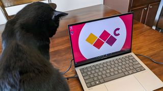 Asus Zenbook S 13 on table with cat.