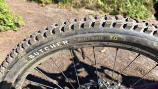 Close up of mountain bike tire and wheel
