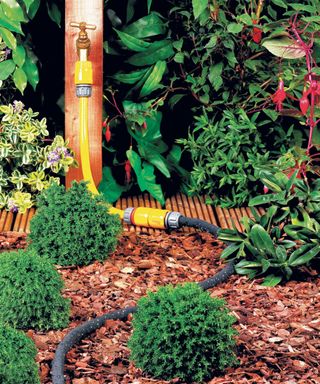 garden hose with tap