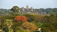 An aerial view of Angkor Wat and surrounding trees.