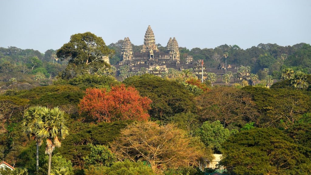 O vedere aeriană a Angkor Wat și a copacilor din jur.