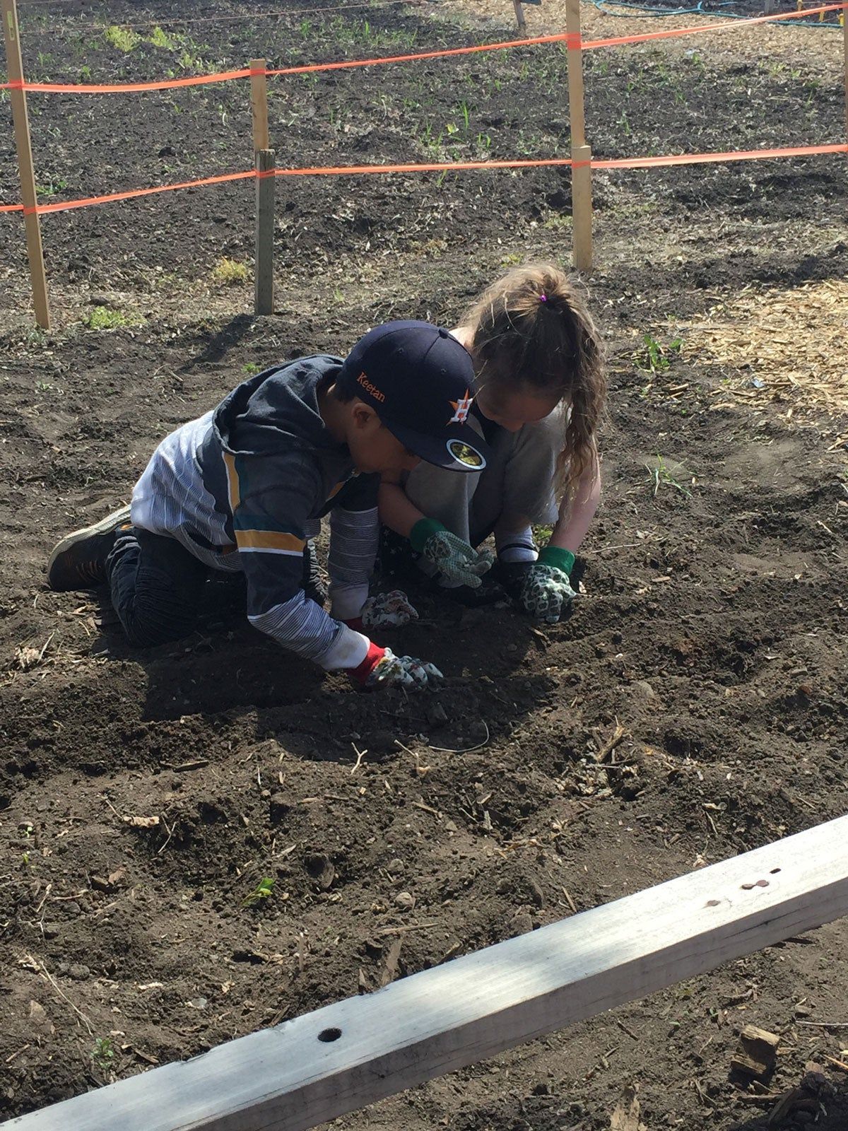 Sowing seeds for the new growing season