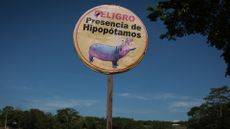 A warning sign for hippopotamuses near Hacienda N&aacute;poles in Doradal, Colombia.