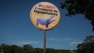 A warning sign for hippopotamuses near Hacienda Nápoles in Doradal, Colombia.