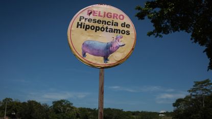 A warning sign for hippopotamuses near Hacienda N&aacute;poles in Doradal, Colombia.