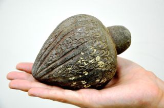 a hand grenade dating to the Crusades