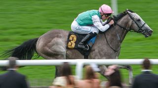 Kieran Shoemark riding Field Of Gold win The Weatherbys British EBF Maiden Stakes at Newmarket Racecourse in July 2024