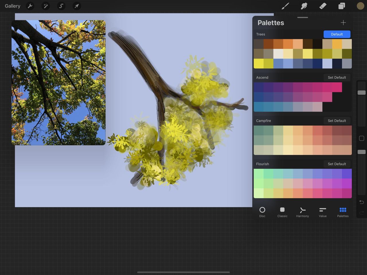 Procreate Reference Photo