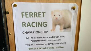 A poster advertising ferret racing