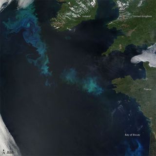 A phytoplankton bloom in the North Atlantic. 