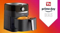 Tefal Easy Fry Classic 2-in-1 Air Fryer deal