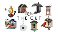 The Cut: Smart bird feeders