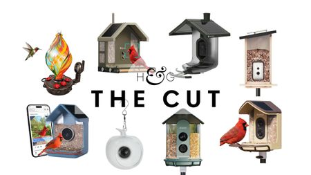 The Cut: Smart bird feeders
