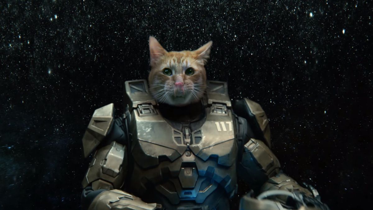 Xbox Series X ad by Taika Waititi reveals Meowster Chief | Laptop Mag