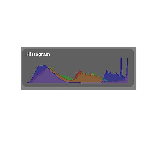 PhotoComplete image: The histogram gives you a visual representation of the photo's colors, highlights, shadows and more.