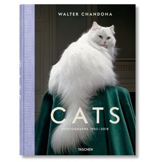 Walter Chandoha. Cats. Photographs 1942–2018 book cover