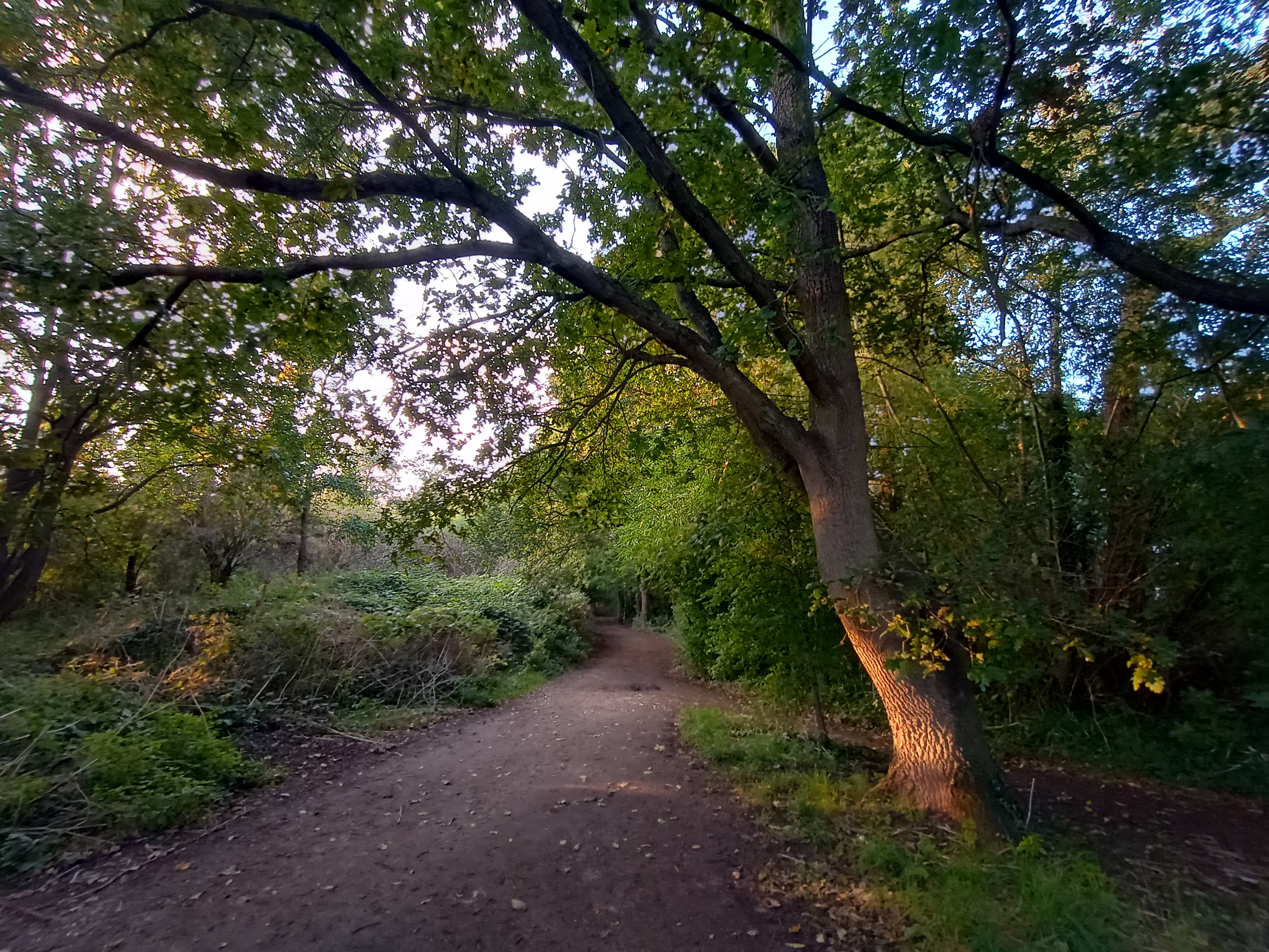 A Moto G60S camera sample