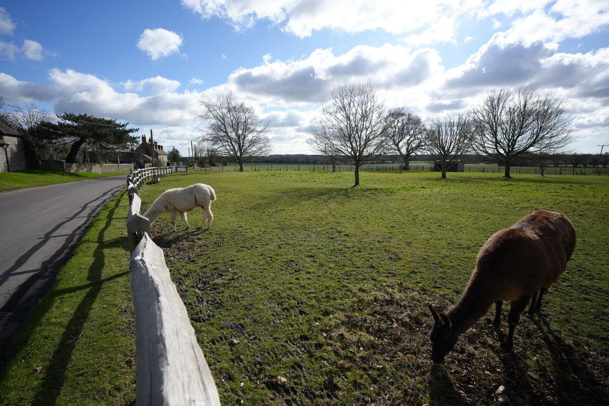 Sample image shot with the Sony FE 16mm F1.8 G lens
