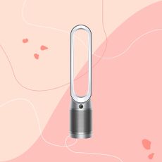 Dyson fan on pink graphic background