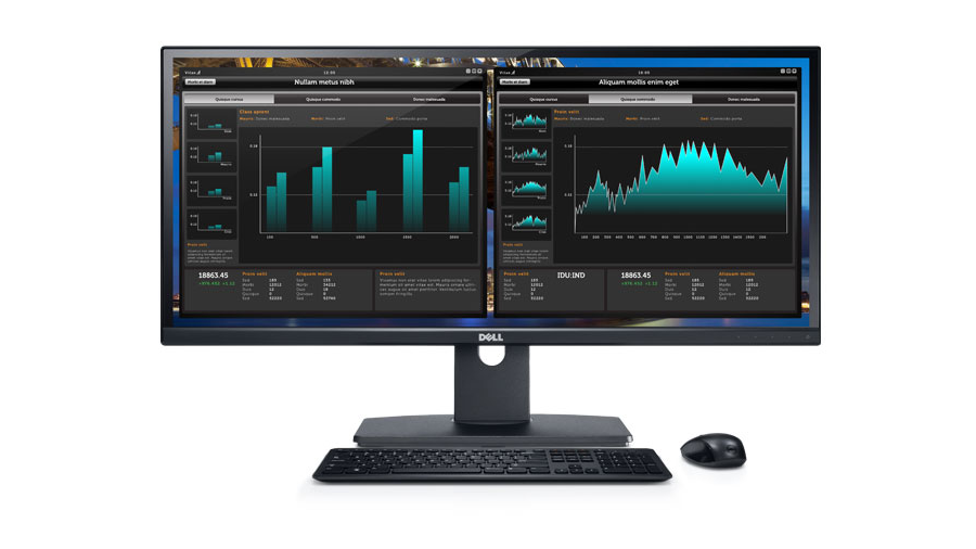 dell long monitor