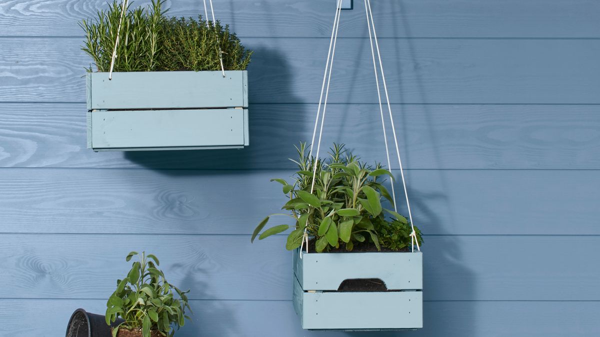 Jardinières suspendues : comment bricoler un jardin vertical