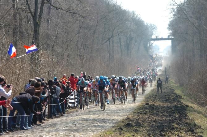 Johan Vansummeren sets the pace through the Arenberg forest