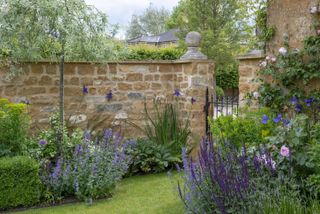 walled garden designed by Fi Boyle