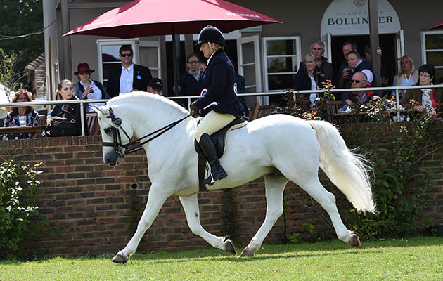 RIHS Hickstead 2017