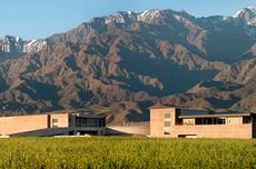 Bodega DiamAndes
